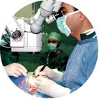 جمع آوری و پردازش پرده آمنیوتیک جهت استفاده در کشت و جراحی
